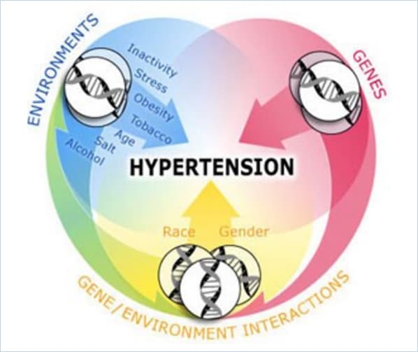 HYPERTENSION Image 3