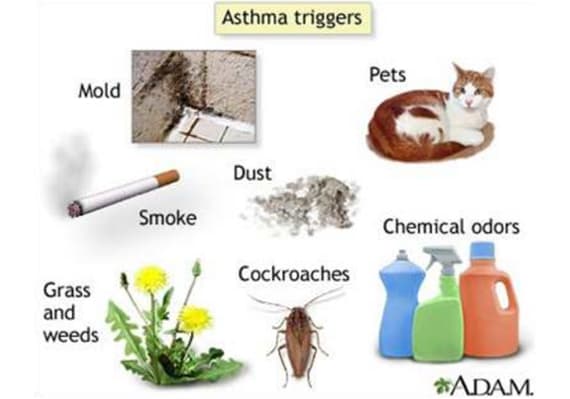 Image of Asthma 2