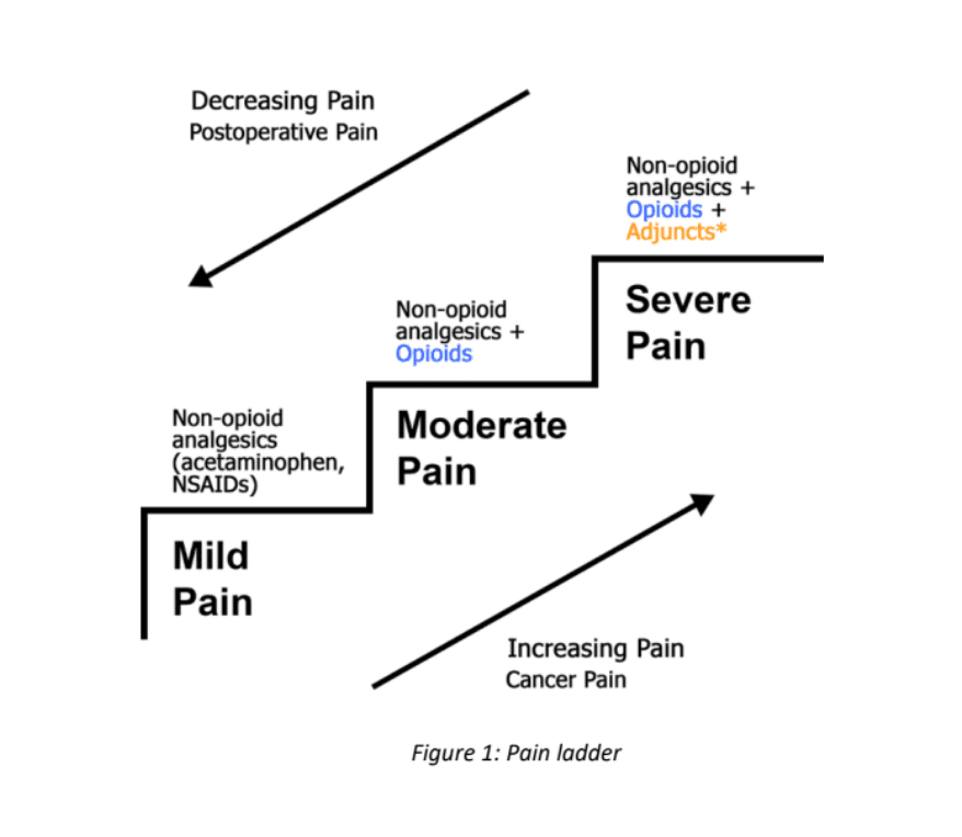 Cancer pain Image 1