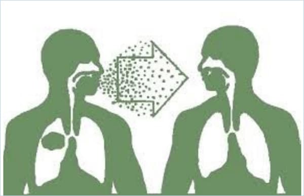TUBERCULOSIS Image 1